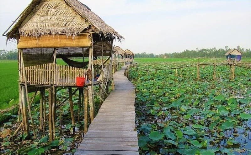 Cao Lãnh có gì chơi? Gợi ý lịch trình 1 ngày