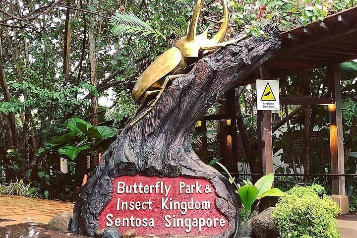 Butterfly Park & Insect Kingdom Sentosa