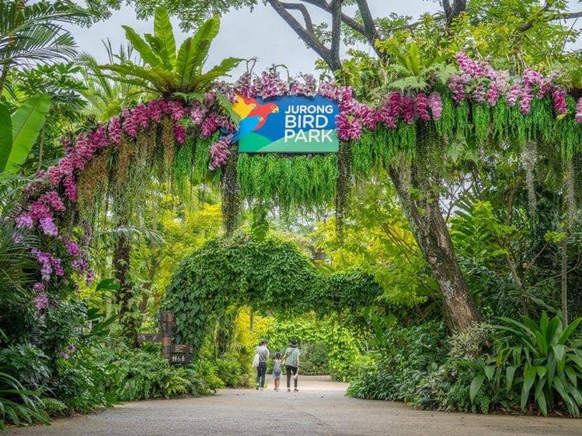 Công viên Jurong Bird Park