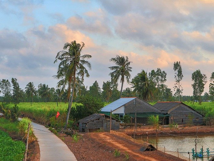 Cù lao Long Trị: Khu du lịch sinh thái ẩn mình giữa sông nước Trà Vinh