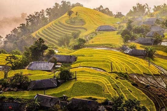 Ruộng bậc thang Hoàng Su Phì - Bức tranh thêu của Tây Bắc