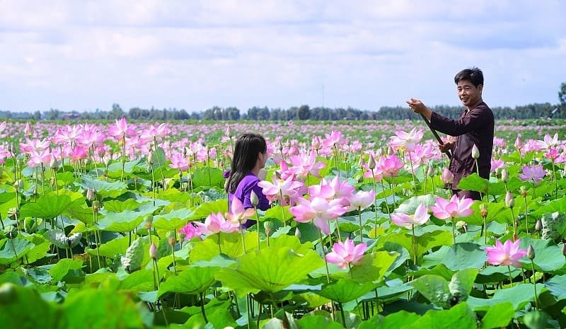 Tổng quan về du lịch Đồng Tháp