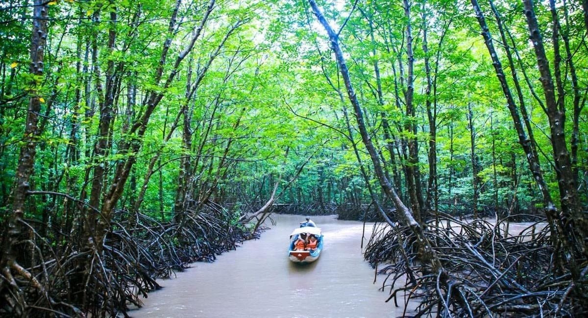 Khu du lịch sinh thái Rừng Đước