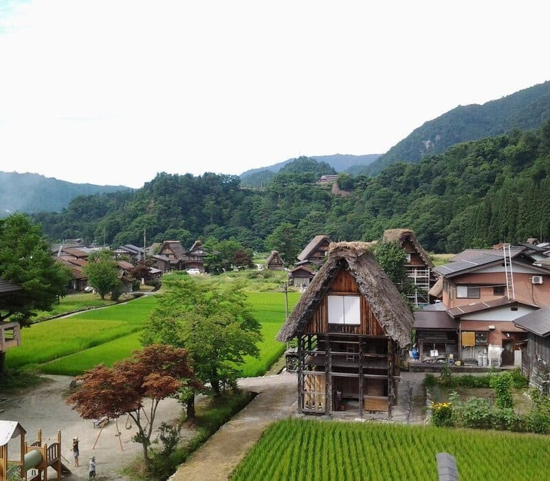  Làng Ogimachi