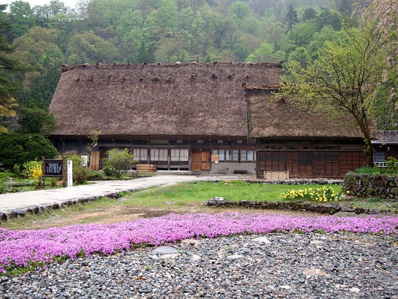 Nhà Wada
