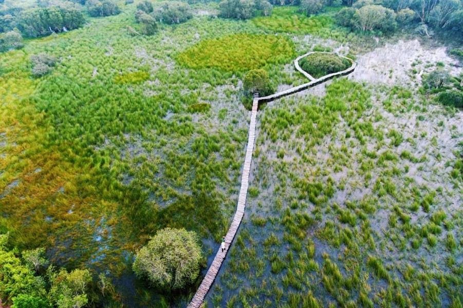 Khu bảo tồn đất ngập nước Láng Sen