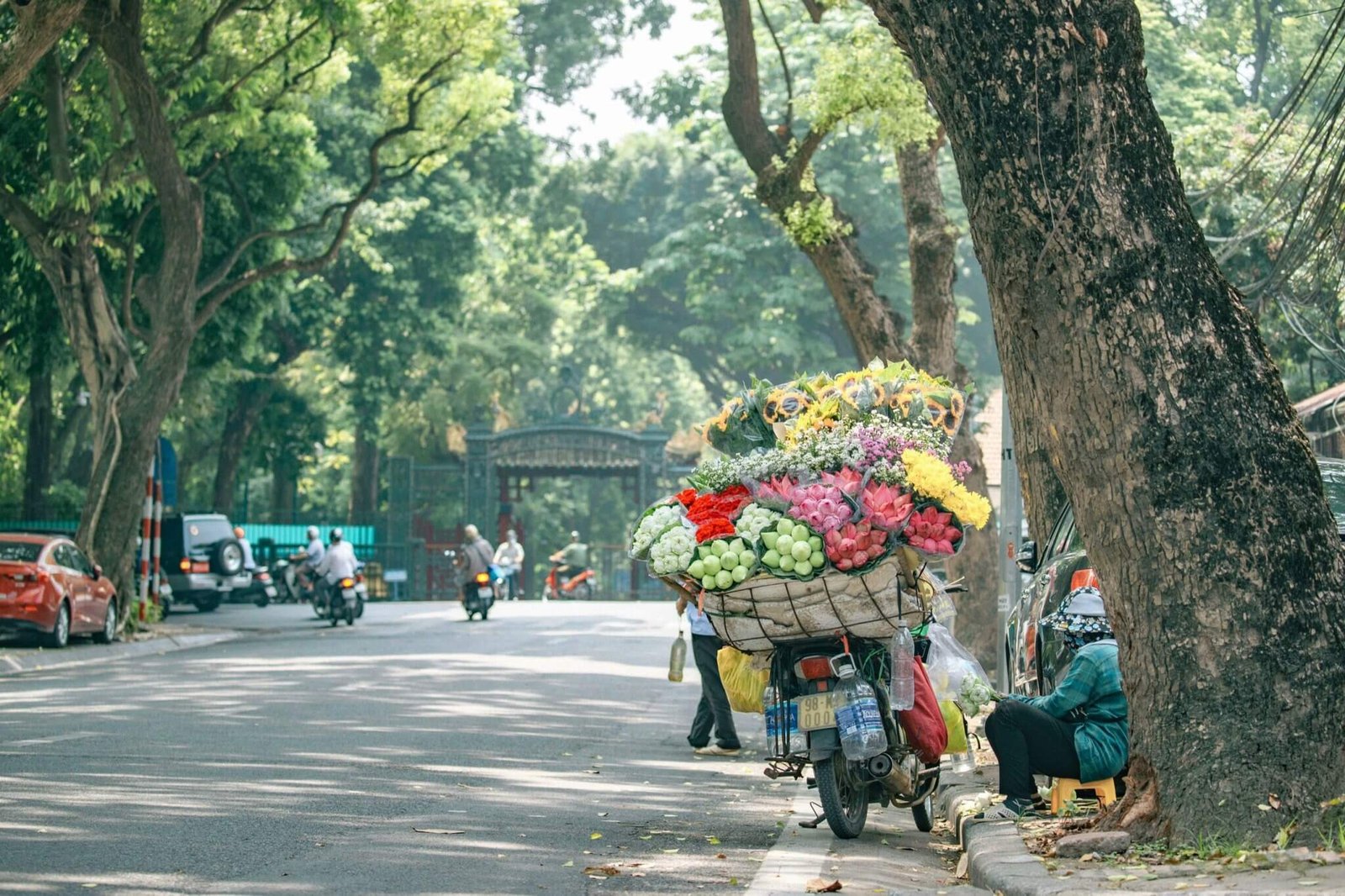 Hà Nội - Vẻ đẹp xuyên mùa