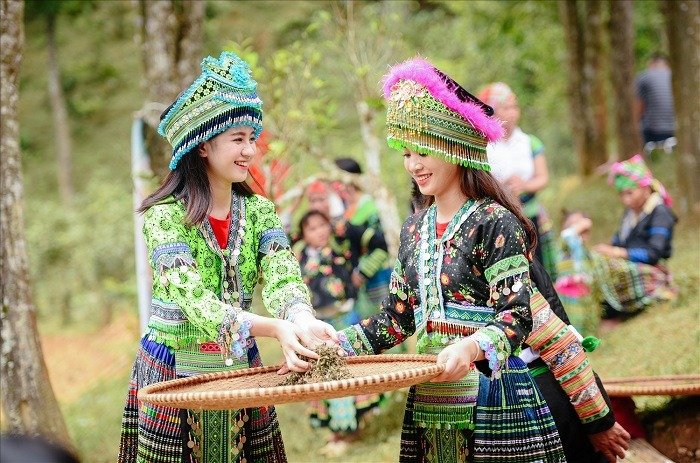 Hai phụ nữ mặc trang phục truyền thống Tây Bắc, Việt Nam, cùng nhau sàng sảy trong không gian thiên nhiên xanh tươi.