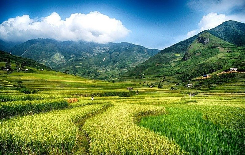 Ruộng bậc thang xanh ngát dưới bầu trời nhiều mây, núi non hùng vĩ tạo cảnh quan tuyệt đẹp ở vùng cao nguyên.