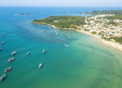 Bãi biển Bình Châu: Vẻ đẹp giao thoa giữa biển và rừng ít người biết đến