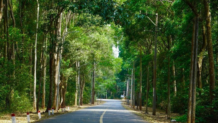 Khám phá Rừng Quốc gia Bình Châu - Phước Bửu