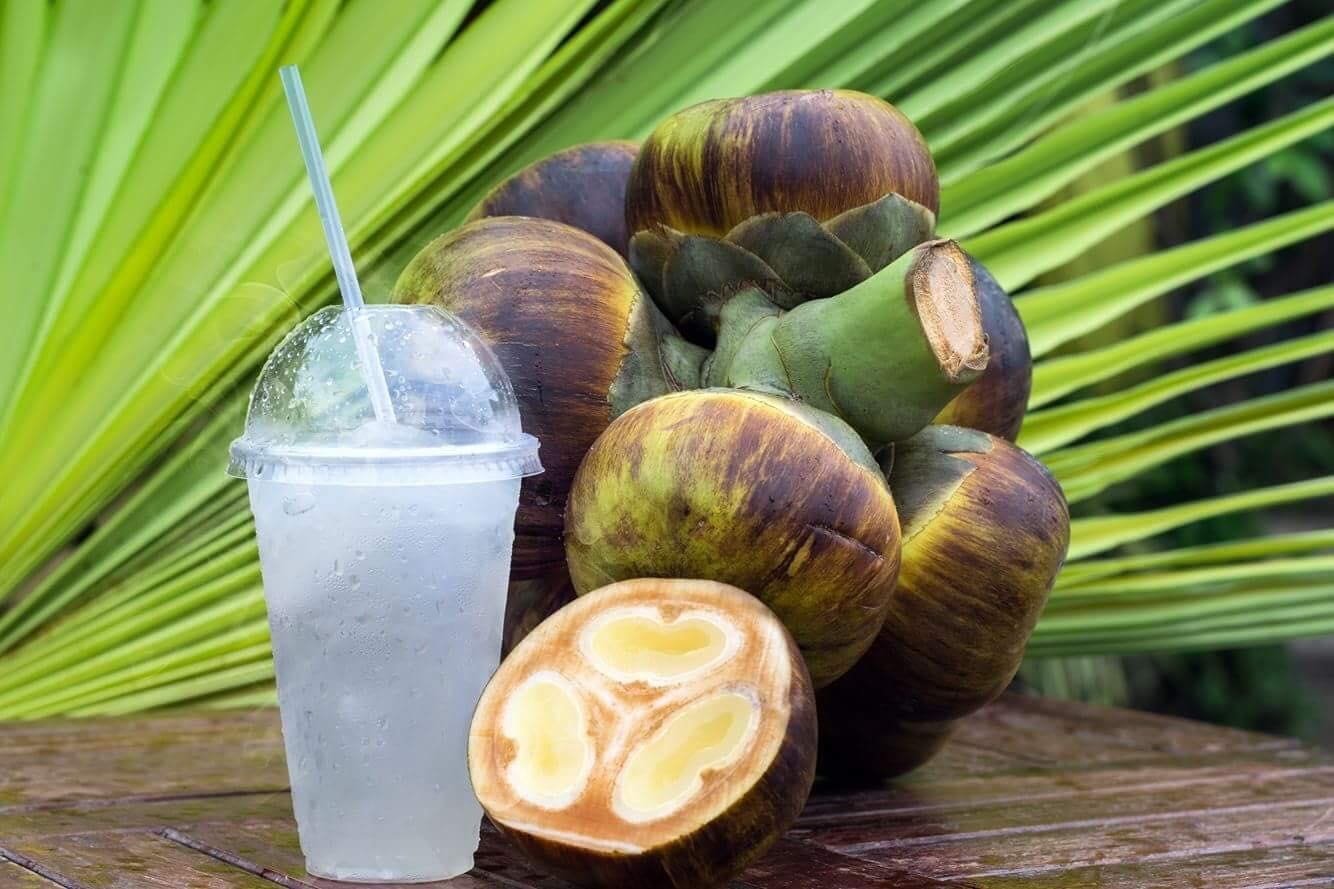 Thốt nốt An Giang