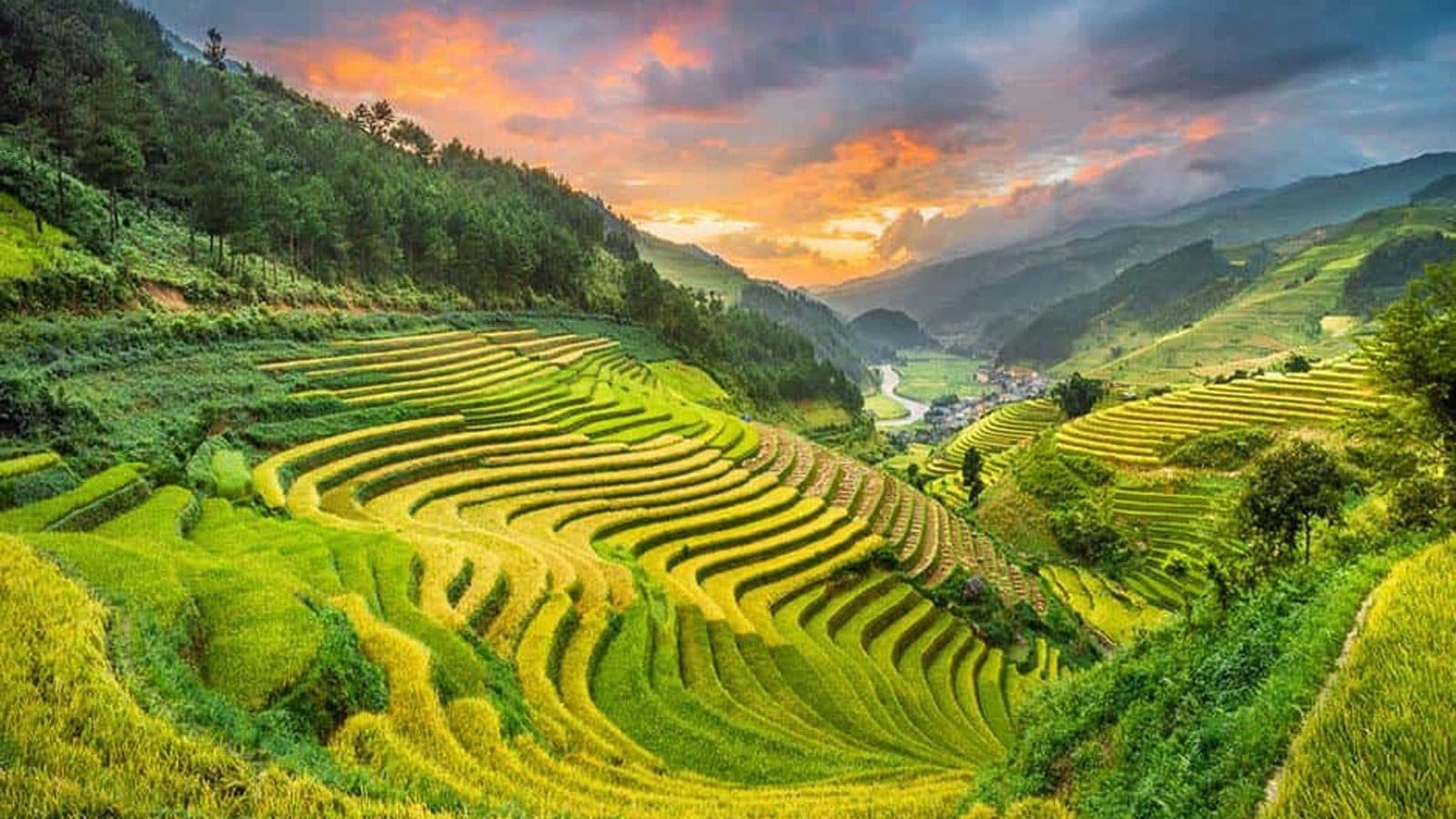 Cánh đồng Mường Than
