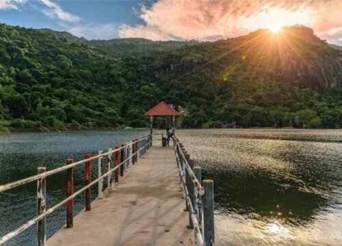 Hồ Soài So: Vẻ đẹp ít người biết ở An Giang