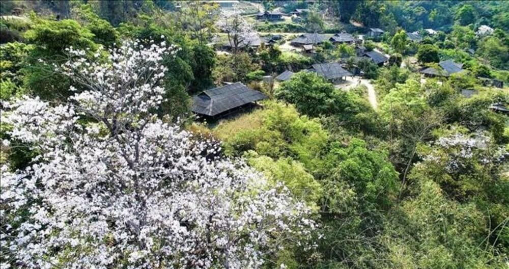 Mai Châu (Hòa Bình) - Sắc đẹp giản dị, gần gũi
