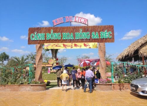 Khu du lịch cánh đồng hoa hồng Sa Đéc: điểm check-in lãng mạn như phim