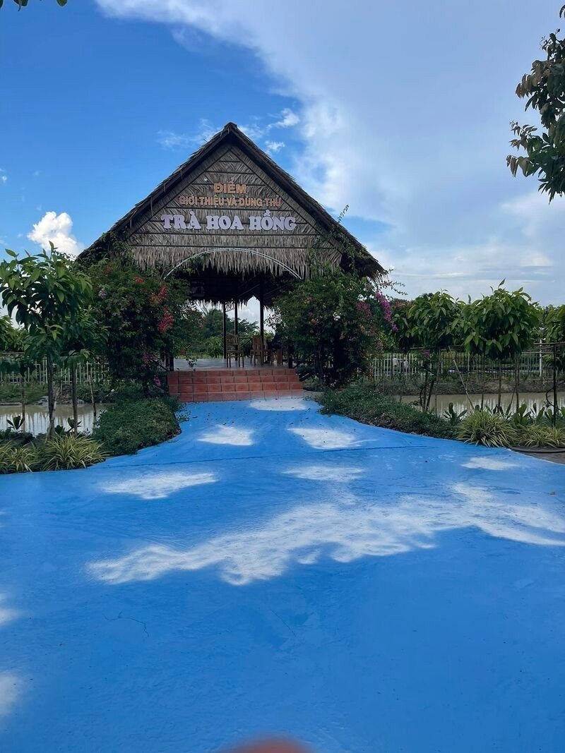 Thưởng thức đồ uống và ẩm thực tại vườn hoa