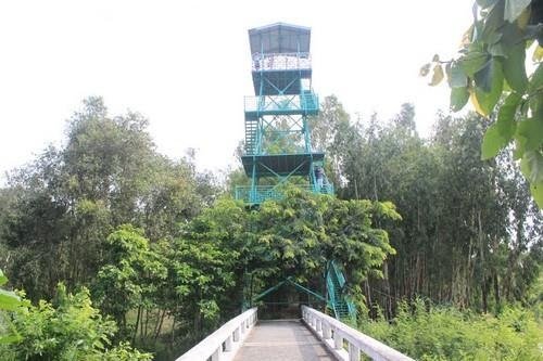 Ngắm nhìn đàn cò lượn từ đài quan sát